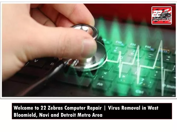 welcome to 22 zebras computer repair virus