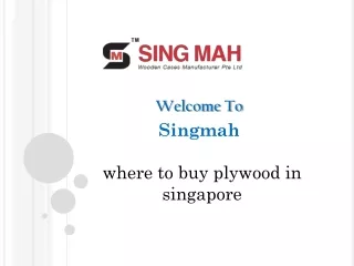 where to buy plywood in singapore