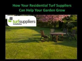 How your Residential Turf Suppliers Can Help your Garden Grow