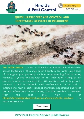 hire us 4 pest control