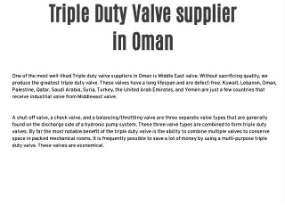 Triple Duty Valve supplier in Oman