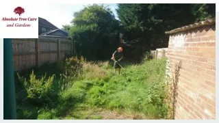 How Tree Care Service Helps You Get the Best Grooming for Gardens and Trees