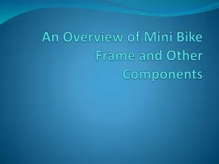 an overview of mini bike frame and other components