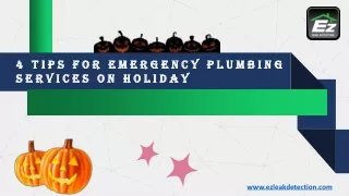 4 Tips For Emergency Plumbing Services on Holidays