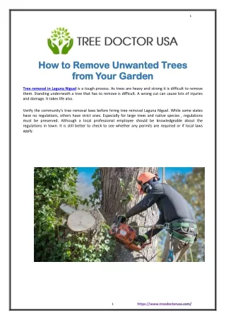 The Most Trusted Tree Doctors in the Laguna Niguel Town