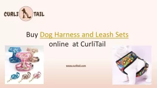 Dog Harness and Leash Sets | CurliTail