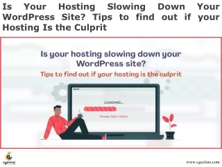 Is your hosting slowing down your WordPress site Tips to find out if your hosting is the culprit