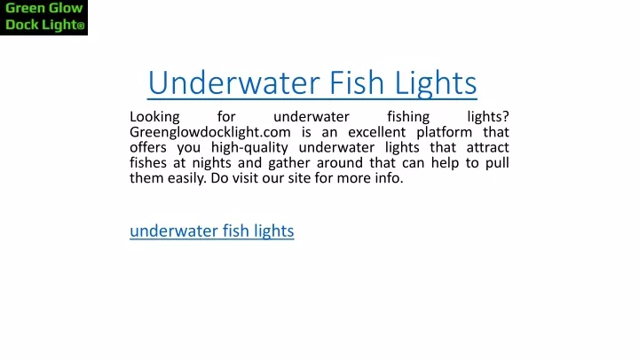 underwater fish lights