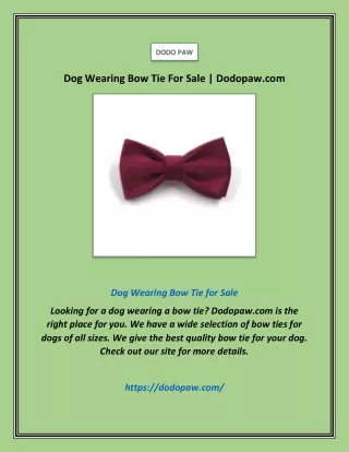 Dog Wearing Bow Tie For Sale | Dodopaw.com