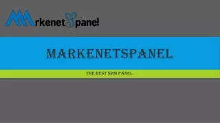 markenetspanel