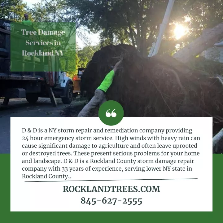 tree damage services in rockland ny