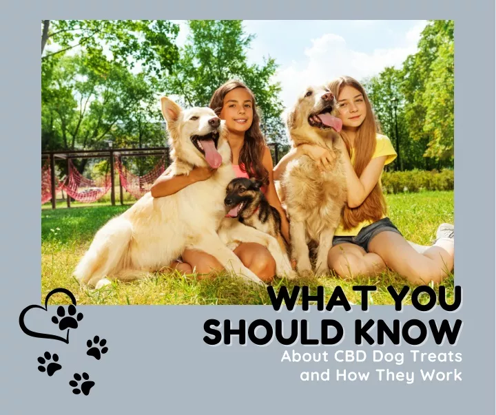 what you what you should know should know about