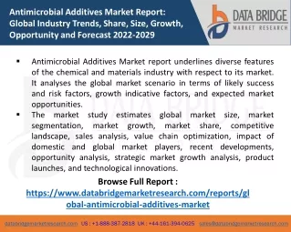 antimicrobial additives market report global