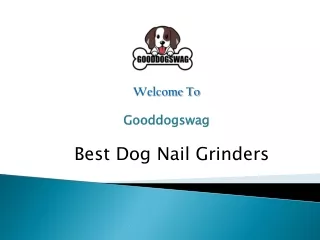 Best Dog Nail Grinders
