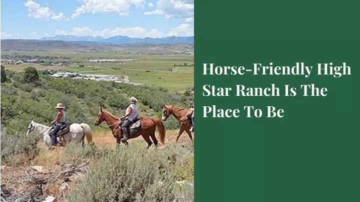 horse friendly high star ranch is the place to be