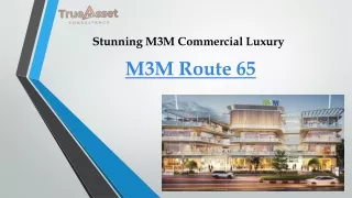 M3M Route 65 provide Commercial property - 65 Gurgaon.