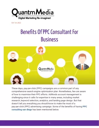 Benefits Of PPC Consultant For Business