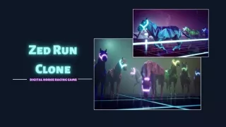 Zed-Run-Clone