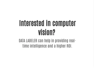 interested in computer vision data labeler