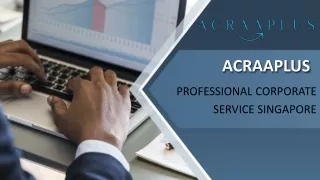 PROFESSIONAL CORPORATE SERVICE SINGAPORE