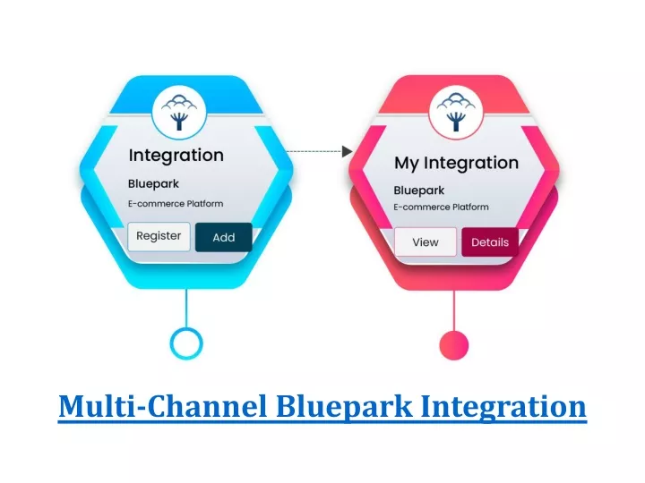 multi channel bluepark integration