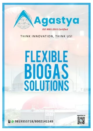 flexible biogas solutions