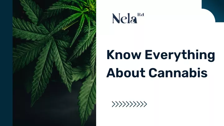 know everything about cannabis