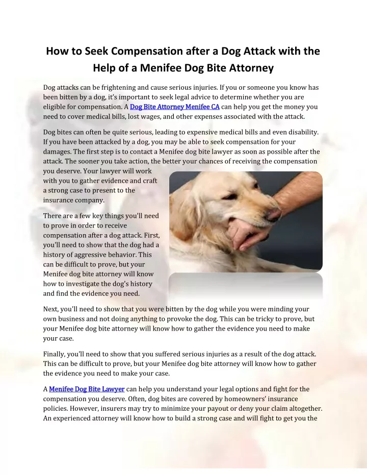 how to seek compensation after a dog attack with