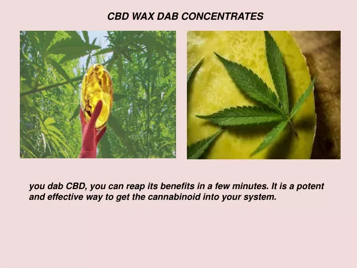cbd wax dab concentrates