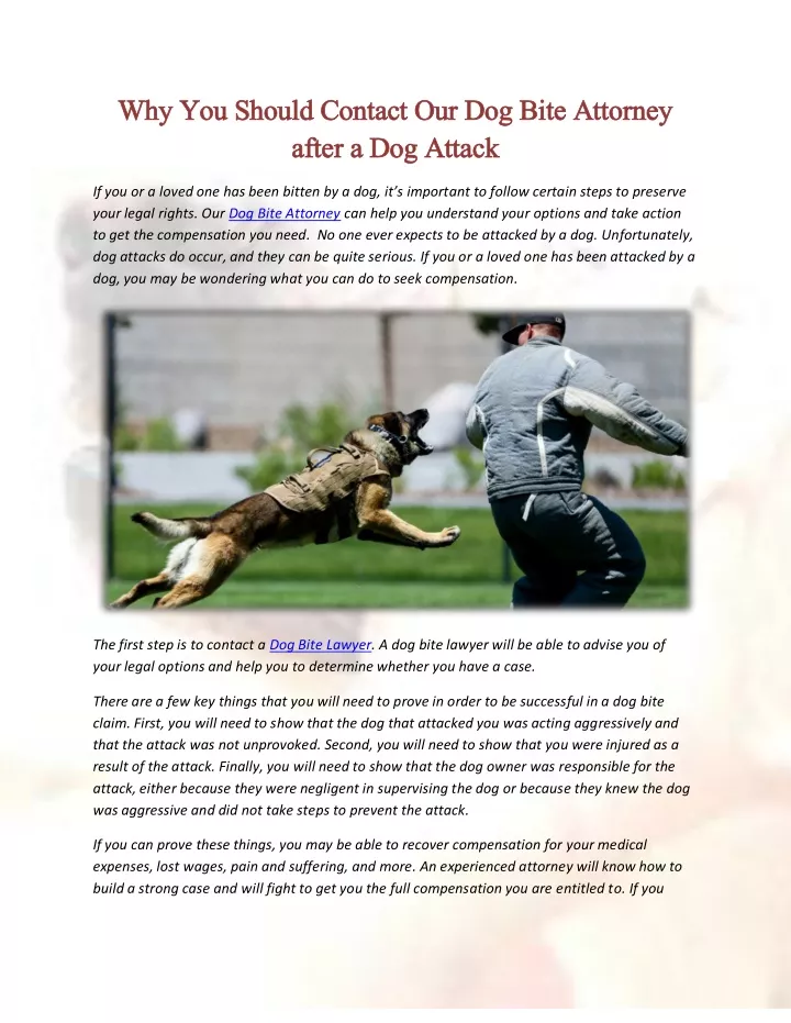 why you should contact our dog bite attorney