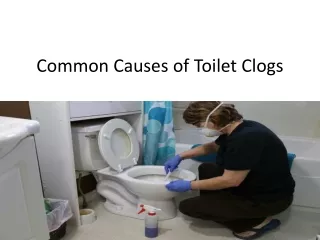 Common Causes of Toilet Clogs