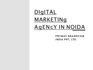 digital marketing agency in n oida