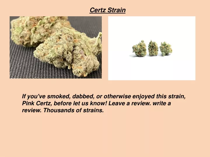 certz strain