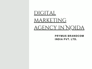 digital marketing agency in noida