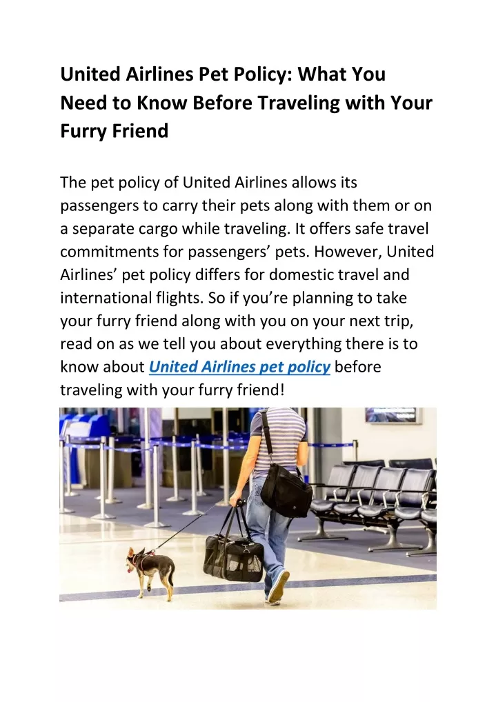 PPT United Airlines Pet Policy PowerPoint Presentation, free download