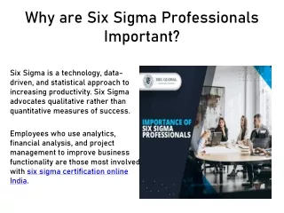 Why are Six Sigma Professionals Important