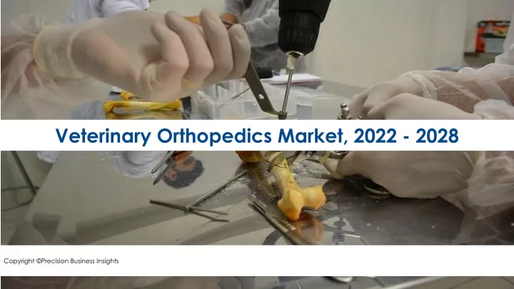 veterinary orthopedics market 2022 2028