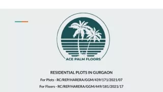 RESIDENTIAL PLOTS IN GURGAON - ACE PALM FLOORS.pptx