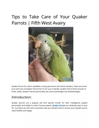 Tips to Take Care of Your Quaker Parrots