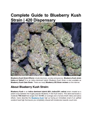 Complete Guide to Blueberry Kush Strain | 420 Dispensary