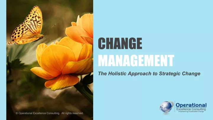 change management the holistic approach