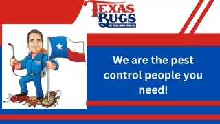 Termite Treatment Cypress- Texas Bugs