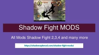 Shadow Fight MODS