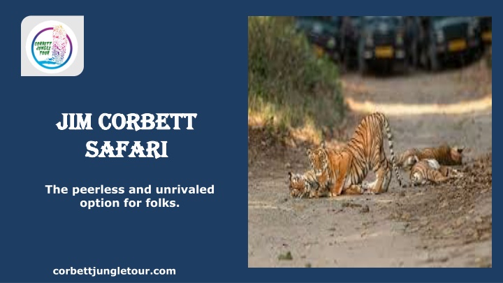 jim corbett safari