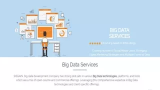 Big Data services