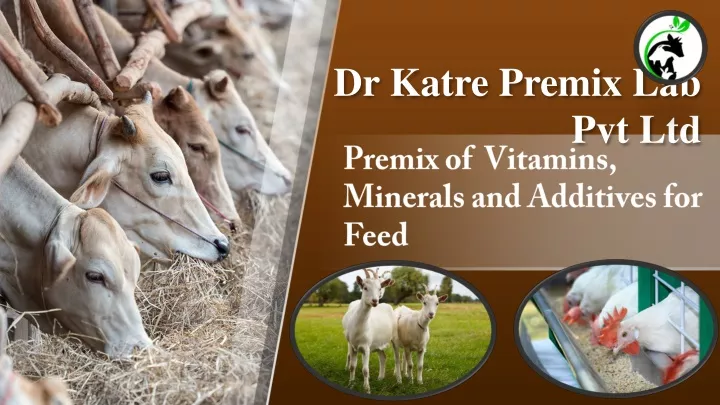 dr katre premix lab pvt ltd