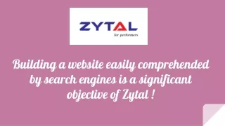 Building a website easily comprehended by search engines is a significant objective of Zytal !