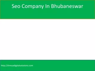 Seo Company In Bhubaneswar
