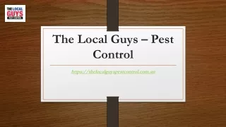 Termite Control Adelaide | Thelocalguyspestcontrol.com.au