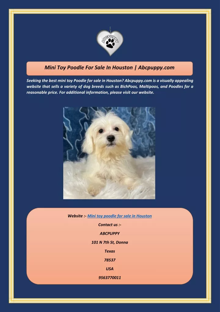 mini toy poodle for sale in houston abcpuppy com